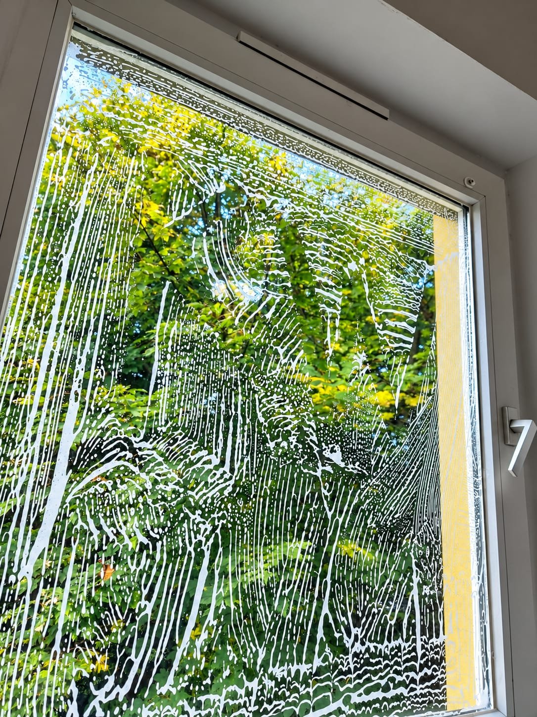 Fenster- und Glasreinigung